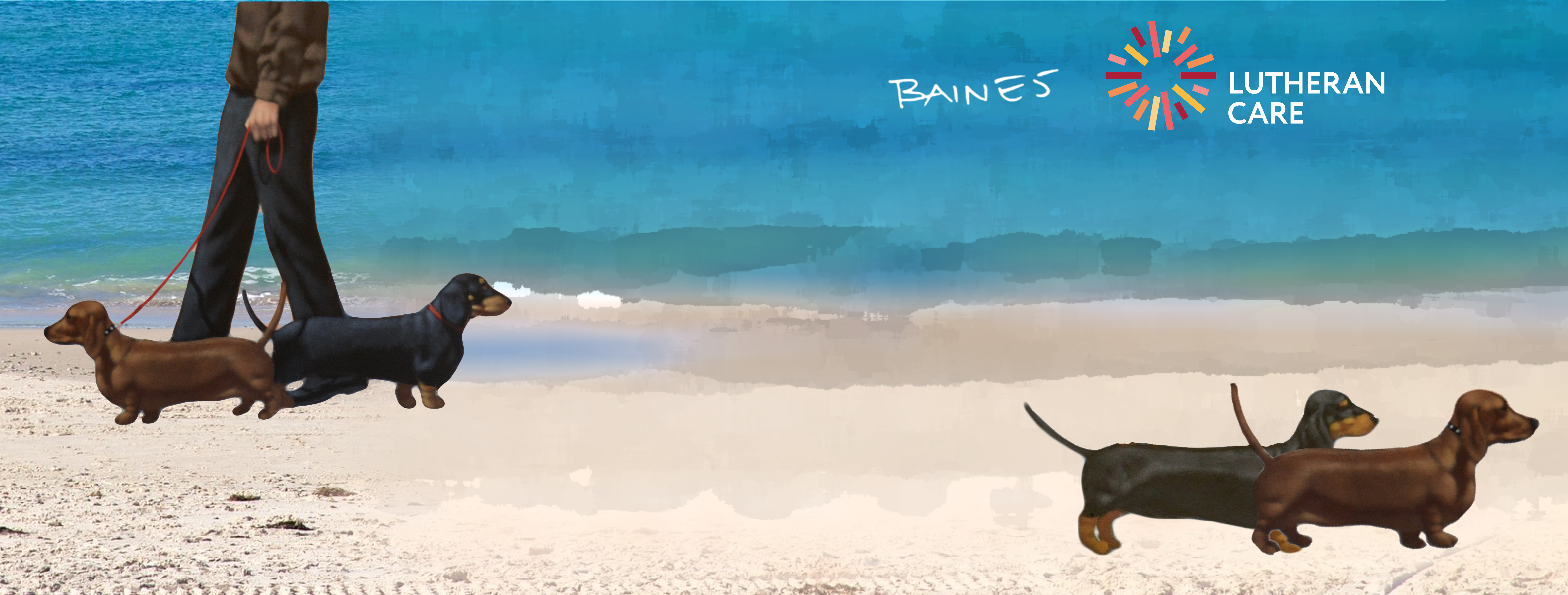 Andrew Baines sausage dog artwork with Baines signature and Lutheran Care logo in the top right hand corner.