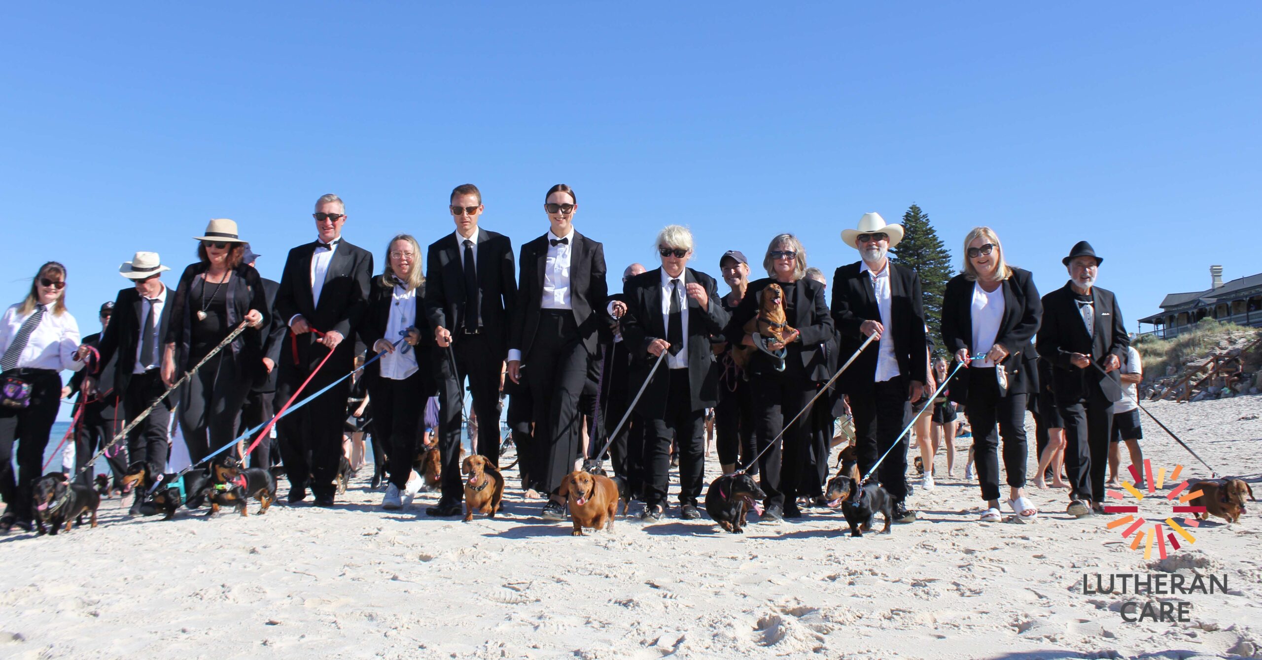 A large group of humans dressed in formal suits or all black, walking happy sausage dogs on leads on white sand, toward the camera. The Lutheran Care logo appears in the bottom right hand corner.