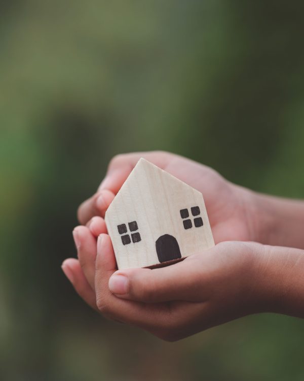 A pair of hands holding a wooden house.