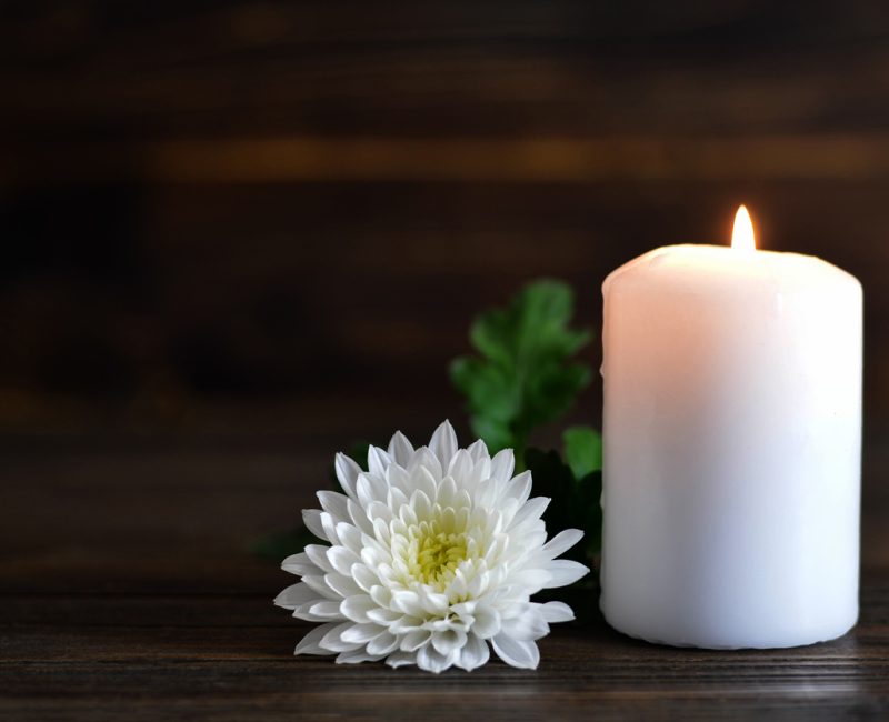Candle and white Chrysanthemum flower